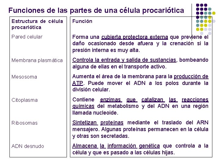 Funciones de las partes de una célula procariótica Estructura de célula procariótica Función Pared