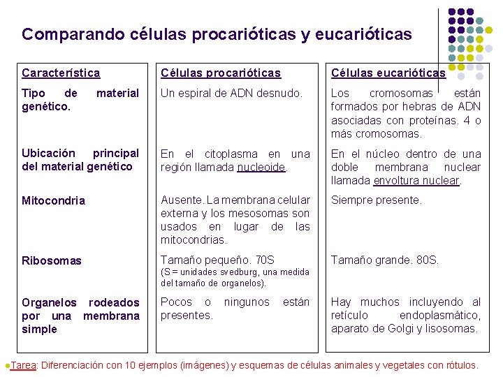 Comparando células procarióticas y eucarióticas Característica Células procarióticas Células eucarióticas Tipo de genético. Un