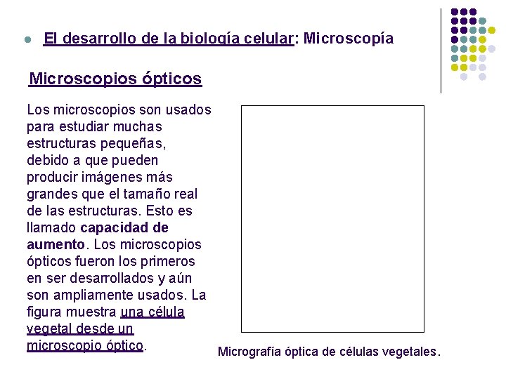 l El desarrollo de la biología celular: Microscopía Microscopios ópticos Los microscopios son usados