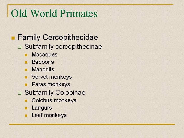 Old World Primates n Family Cercopithecidae q Subfamily cercopithecinae n n n q Macaques