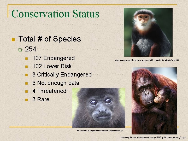 Conservation Status n Total # of Species q 254 n n n 107 Endangered