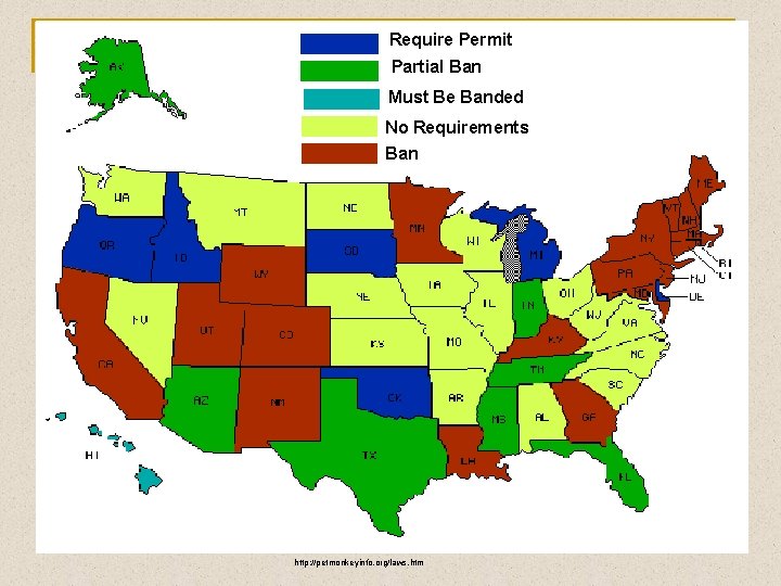 Require Permit Partial Ban Must Be Banded No Requirements Ban http: //petmonkeyinfo. org/laws. htm