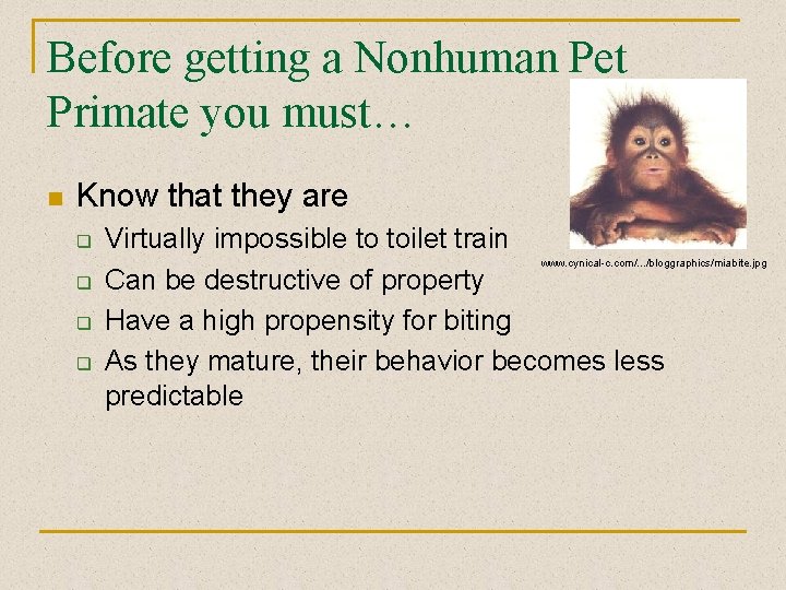 Before getting a Nonhuman Pet Primate you must… n Know that they are q