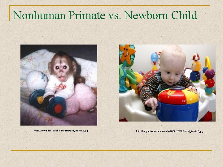 Nonhuman Primate vs. Newborn Child http: //www. superlaugh. com/pets/babymonkey. jpg http: //blog. mlive. com/chronicle/2007/12/02