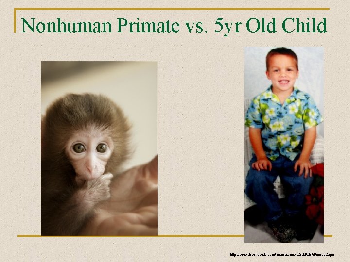 Nonhuman Primate vs. 5 yr Old Child http: //www. baynews 9. com/images/news/2006/8/8/mood 2. jpg