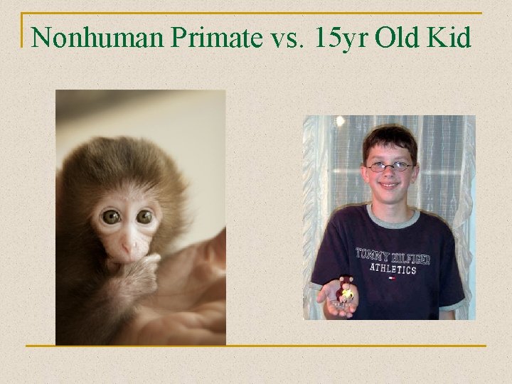 Nonhuman Primate vs. 15 yr Old Kid 