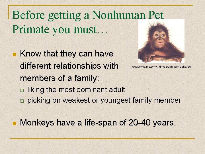 Before getting a Nonhuman Pet Primate you must… n Know that they can have