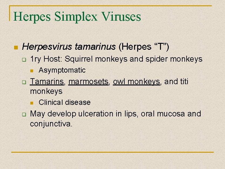 Herpes Simplex Viruses n Herpesvirus tamarinus (Herpes “T”) q 1 ry Host: Squirrel monkeys