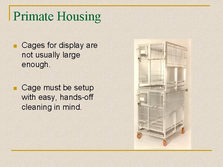 Primate Housing n Cages for display are not usually large enough. n Cage must