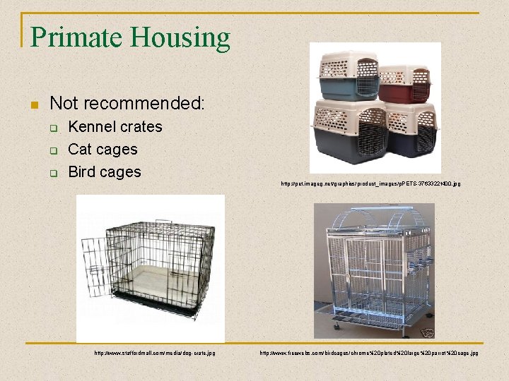 Primate Housing n Not recommended: q q q Kennel crates Cat cages Bird cages