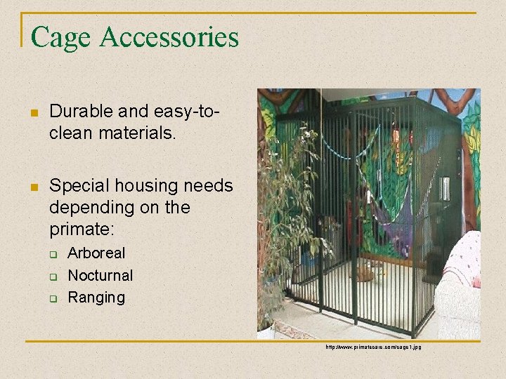 Cage Accessories n Durable and easy-toclean materials. n Special housing needs depending on the