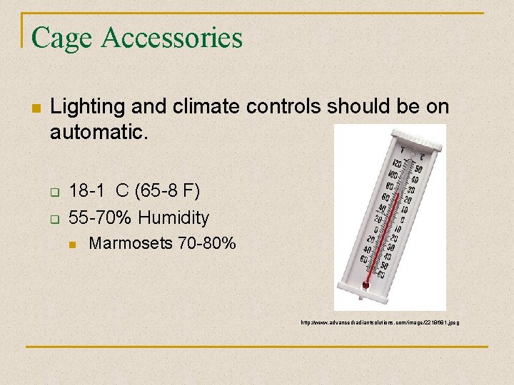 Cage Accessories n Lighting and climate controls should be on automatic. q q 18