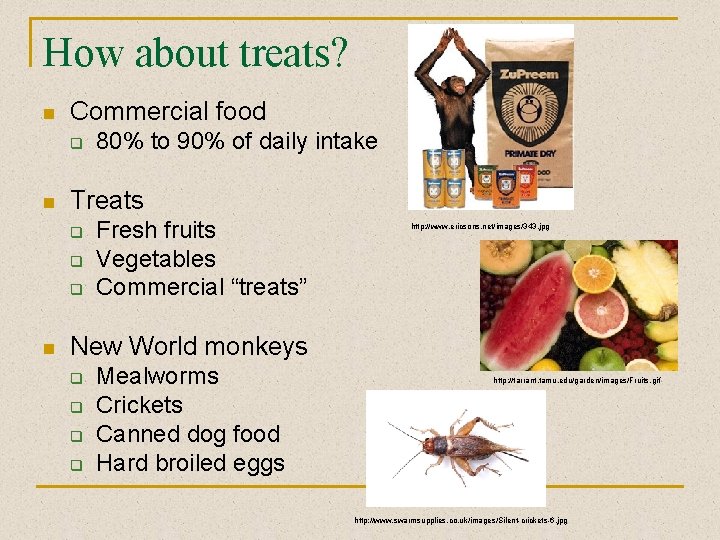 How about treats? n Commercial food q n Treats q q q n 80%