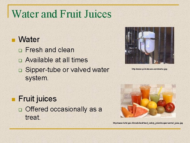 Water and Fruit Juices n Water q q q n Fresh and clean Available