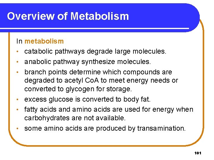 Overview of Metabolism In metabolism • catabolic pathways degrade large molecules. • anabolic pathway