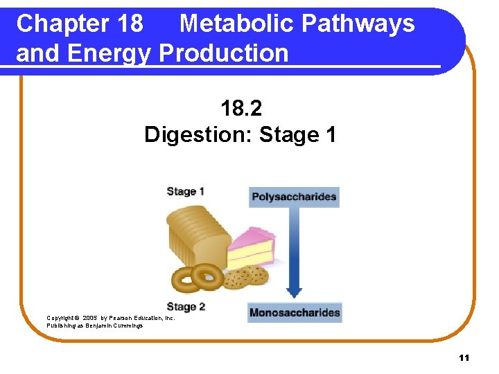 Chapter 18 Metabolic Pathways and Energy Production 18. 2 Digestion: Stage 1 Copyright ©