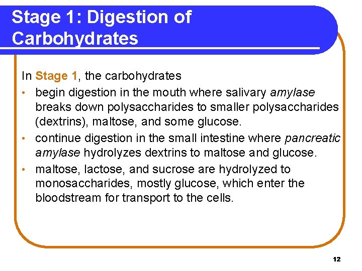 Stage 1: Digestion of Carbohydrates In Stage 1, the carbohydrates • begin digestion in