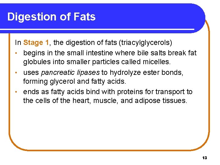 Digestion of Fats In Stage 1, the digestion of fats (triacylglycerols) • begins in
