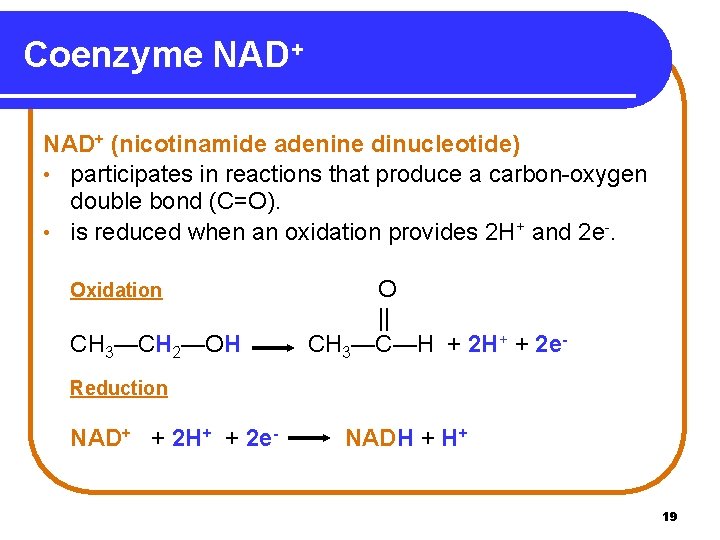 Coenzyme NAD+ (nicotinamide adenine dinucleotide) • participates in reactions that produce a carbon-oxygen double