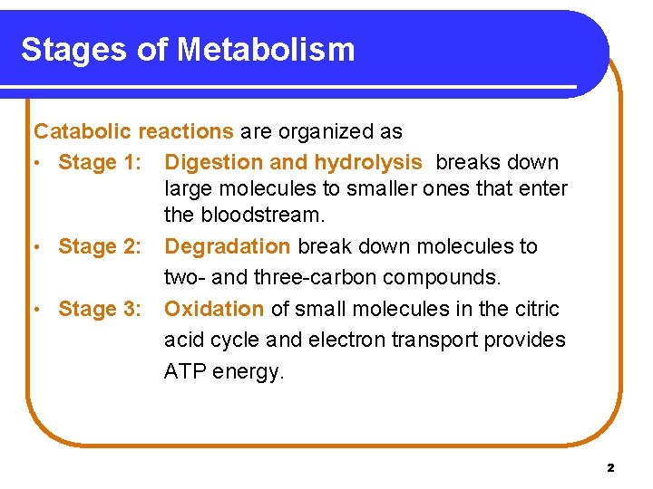 Stages of Metabolism Catabolic reactions are organized as • Stage 1: Digestion and hydrolysis