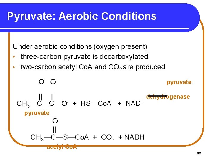 Pyruvate: Aerobic Conditions Under aerobic conditions (oxygen present), • three-carbon pyruvate is decarboxylated. •