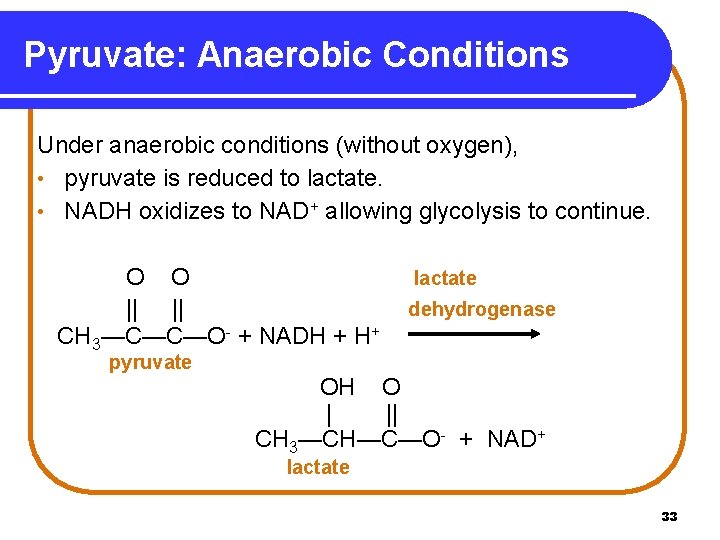 Pyruvate: Anaerobic Conditions Under anaerobic conditions (without oxygen), • pyruvate is reduced to lactate.