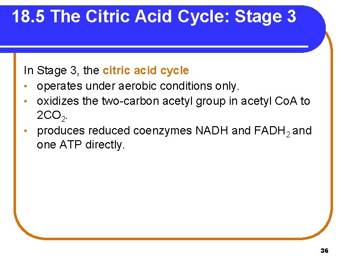 18. 5 The Citric Acid Cycle: Stage 3 In Stage 3, the citric acid