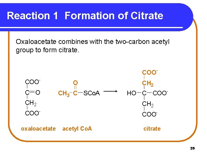 Reaction 1 Formation of Citrate Oxaloacetate combines with the two-carbon acetyl group to form