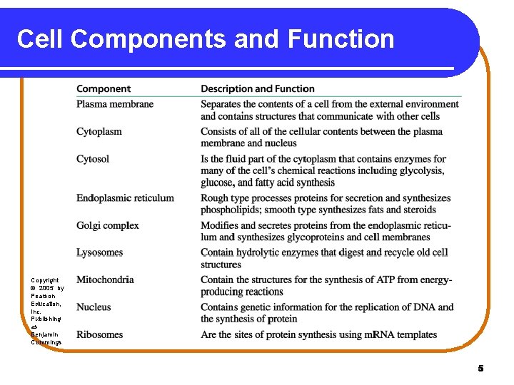 Cell Components and Function Copyright © 2005 by Pearson Education, Inc. Publishing as Benjamin