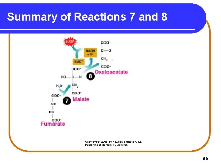 Summary of Reactions 7 and 8 Copyright © 2005 by Pearson Education, Inc. Publishing