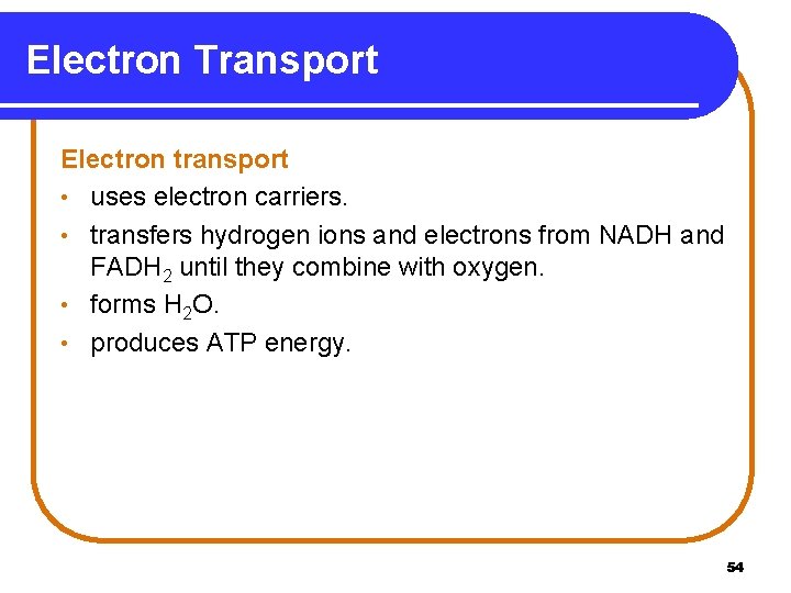 Electron Transport Electron transport • uses electron carriers. • transfers hydrogen ions and electrons