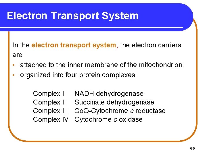 Electron Transport System In the electron transport system, the electron carriers are • attached