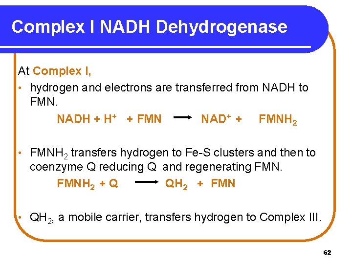 Complex I NADH Dehydrogenase At Complex I, • hydrogen and electrons are transferred from