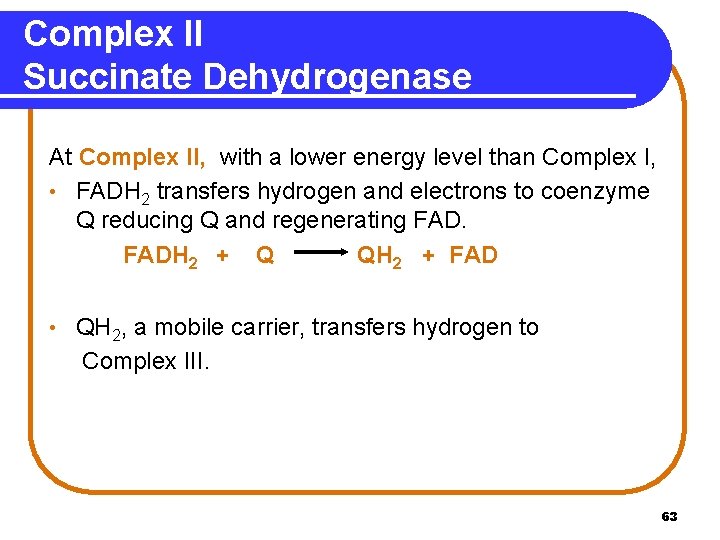 Complex II Succinate Dehydrogenase At Complex II, with a lower energy level than Complex