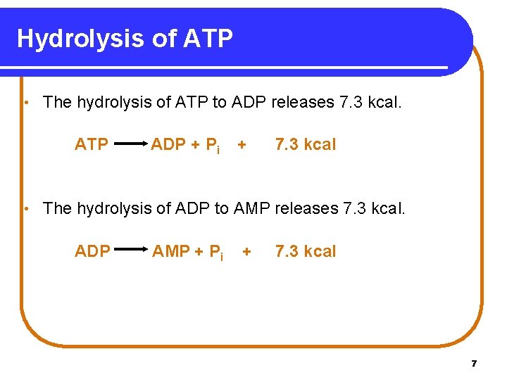 Hydrolysis of ATP • The hydrolysis of ATP to ADP releases 7. 3 kcal.