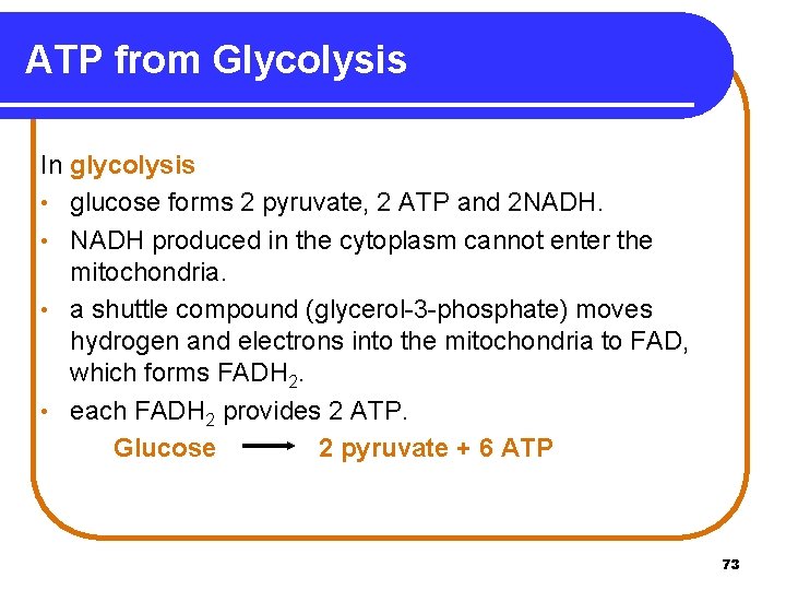 ATP from Glycolysis In glycolysis • glucose forms 2 pyruvate, 2 ATP and 2