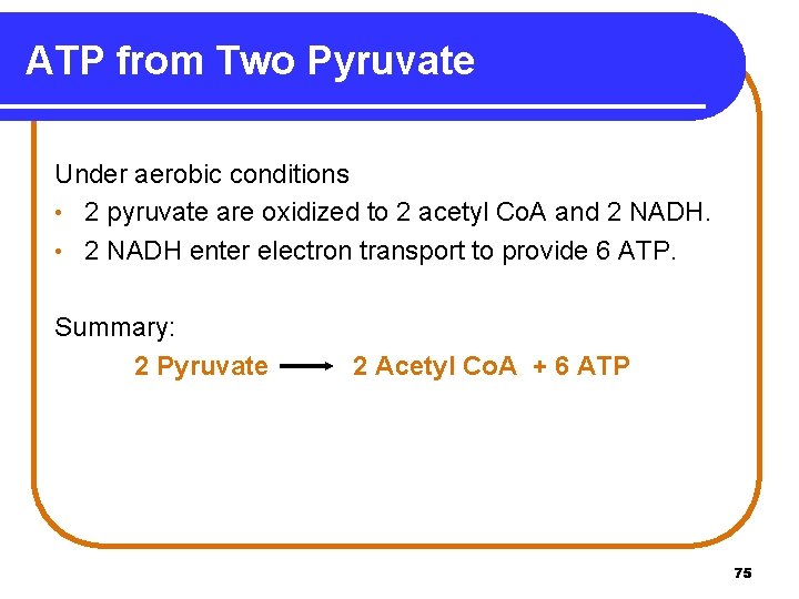 ATP from Two Pyruvate Under aerobic conditions • 2 pyruvate are oxidized to 2