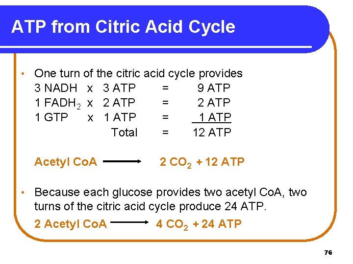 ATP from Citric Acid Cycle • One turn of the citric acid cycle provides