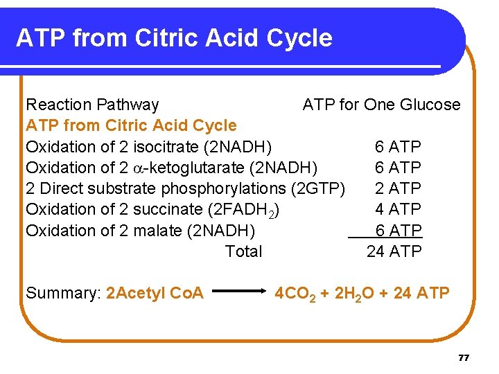 ATP from Citric Acid Cycle Reaction Pathway ATP for One Glucose ATP from Citric