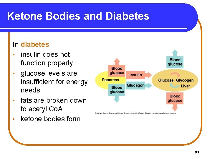 Ketone Bodies and Diabetes In diabetes • insulin does not function properly. • glucose