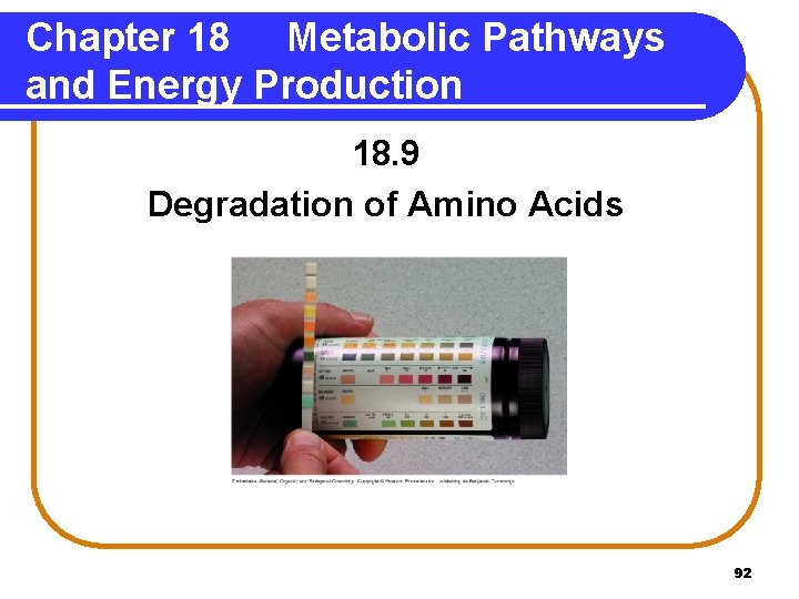 Chapter 18 Metabolic Pathways and Energy Production 18. 9 Degradation of Amino Acids 92