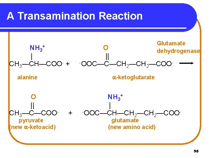 A Transamination Reaction NH 3 | CH 3—CH—COO- + + pyruvate (new -ketoacid) O