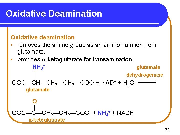 Oxidative Deamination Oxidative deamination • removes the amino group as an ammonium ion from