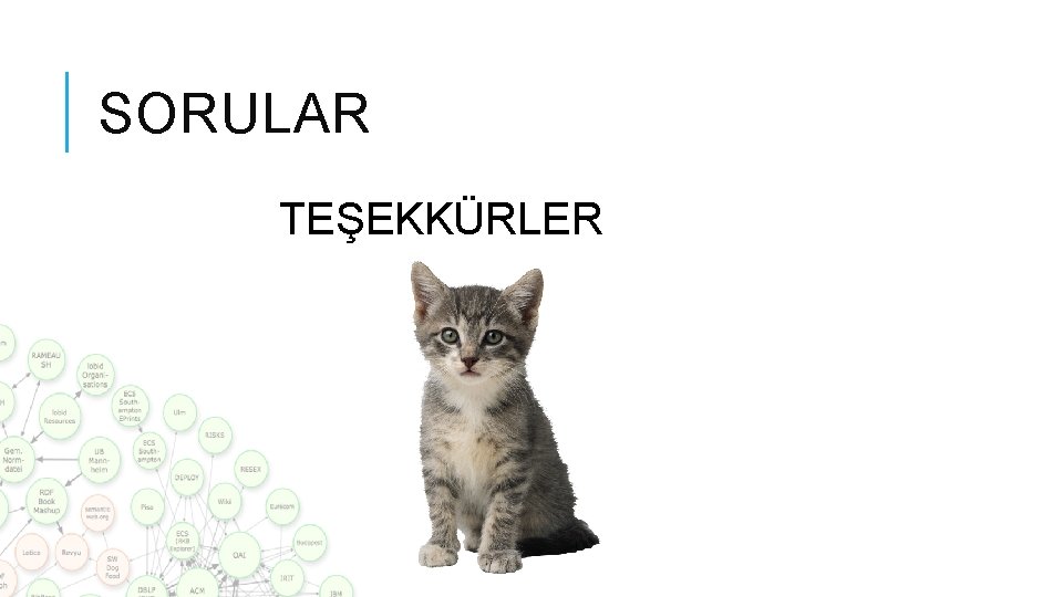 SORULAR TEŞEKKÜRLER SORULAR TEŞEKKÜRLER