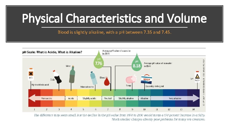 Physical Characteristics and Volume Blood is slightly alkaline, with a p. H between 7.