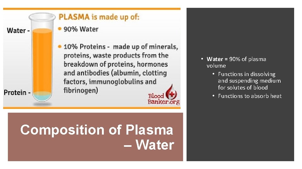  • Water = 90% of plasma volume • Functions in dissolving and suspending