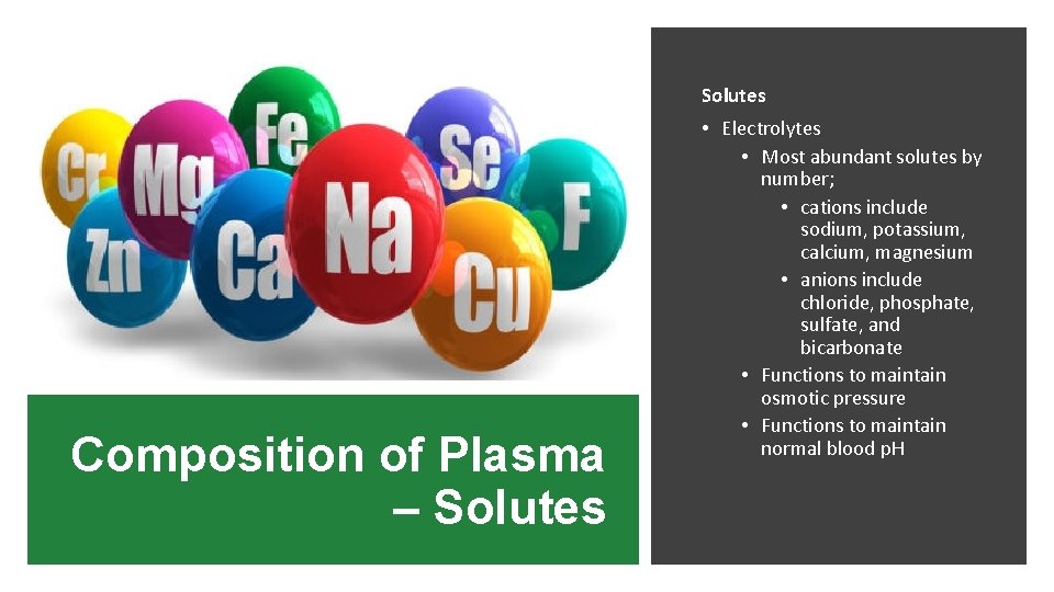 Solutes Composition of Plasma – Solutes • Electrolytes • Most abundant solutes by number;