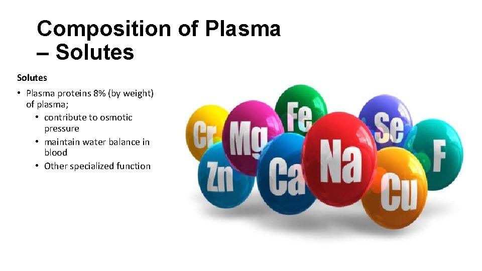 Composition of Plasma – Solutes • Plasma proteins 8% (by weight) of plasma; •