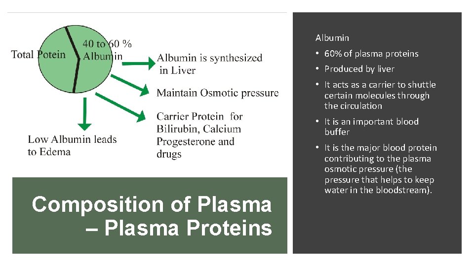 Albumin • 60% of plasma proteins • Produced by liver • It acts as