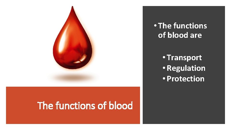  • The functions of blood are • Transport • Regulation • Protection The